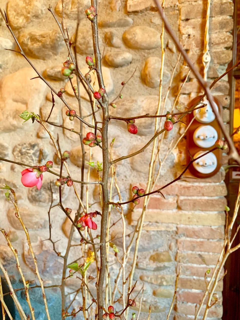 Hotel Masia La Palma Espinavessa 외부 사진